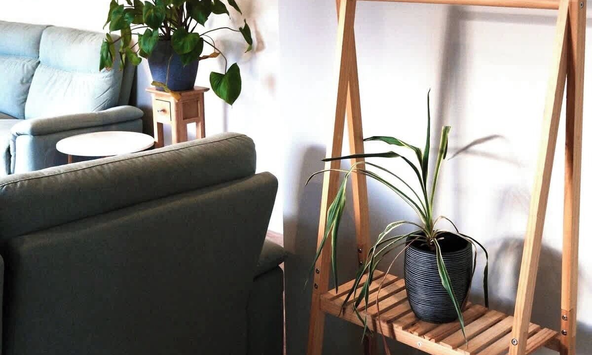 Photo of Livingroom in Tranmere
