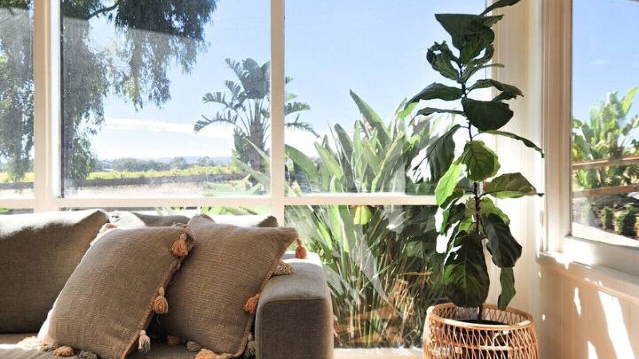 Photo of Livingroom in McLaren Vale