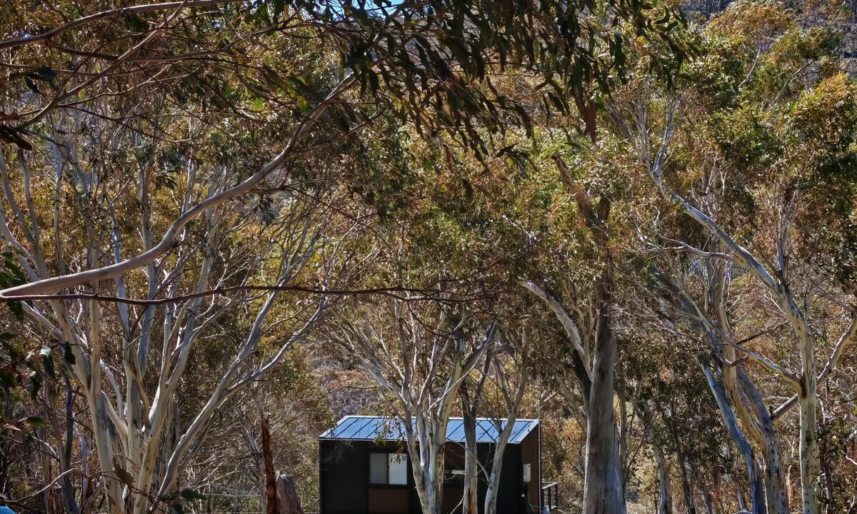 Photo of Outdoor in Braemar Bay