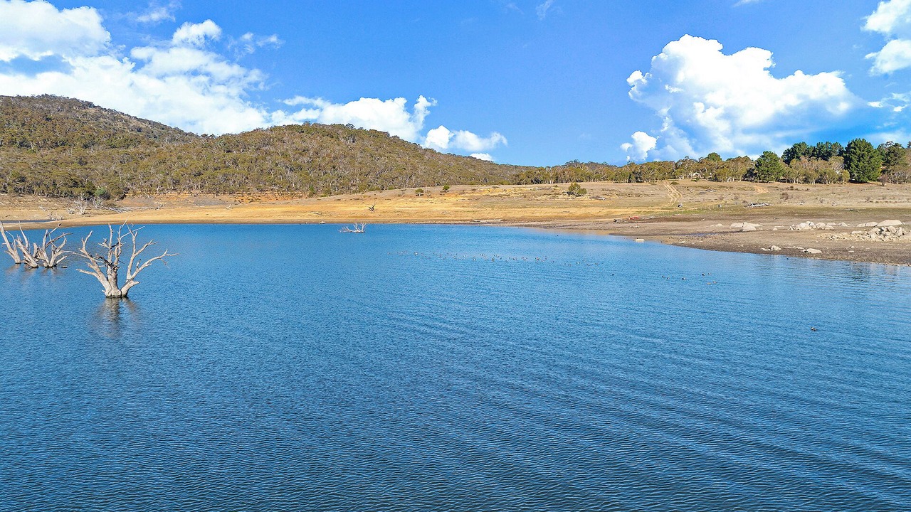 Photo of Others in Braemar Bay