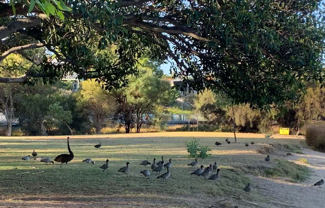Photo of Others in East Perth