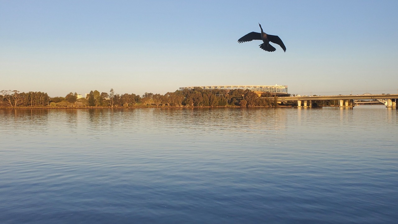 Photo of Others in East Perth