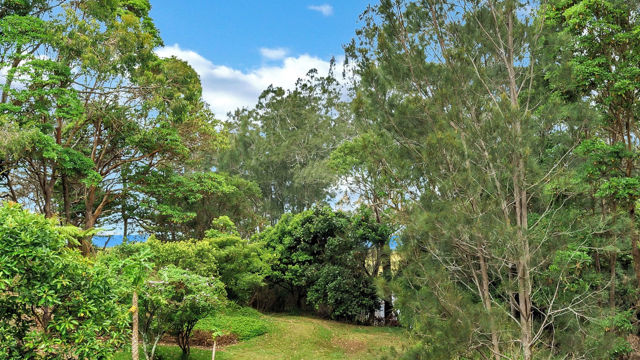 Photo of Outdoor in Korora