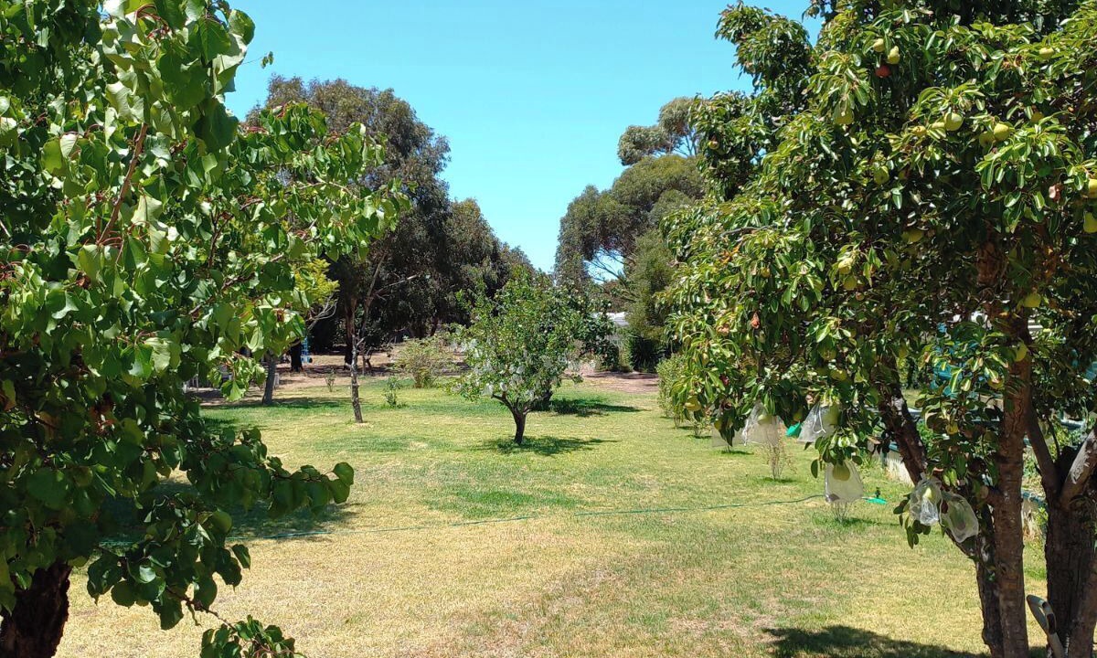Photo of Outdoor in Port Elliot