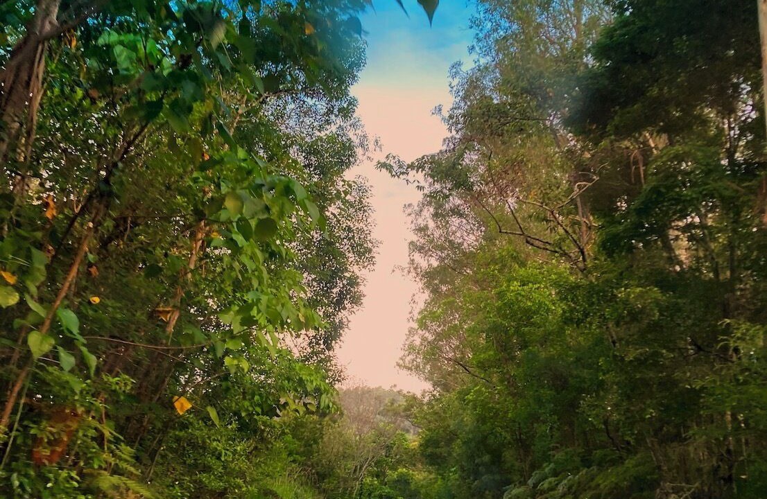 Photo of Others in Nimbin