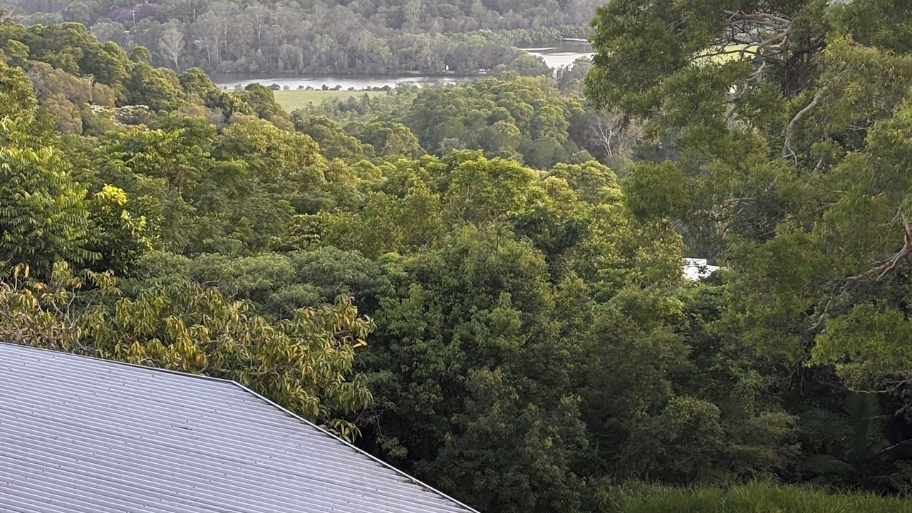 Photo of Others in Maroochy River