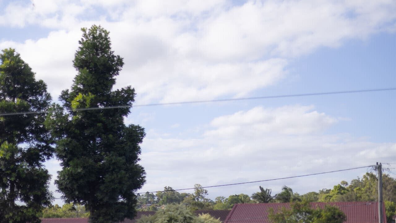 Photo of Others in Springwood