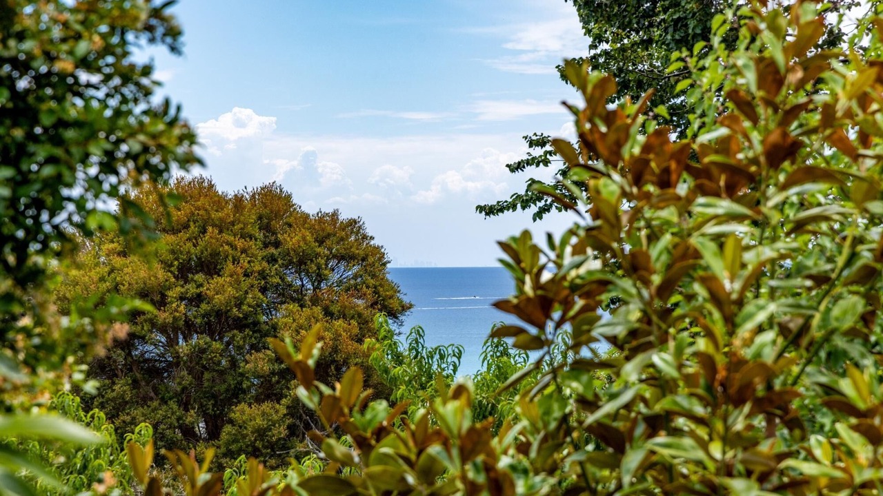 Photo of Outdoor in Dromana