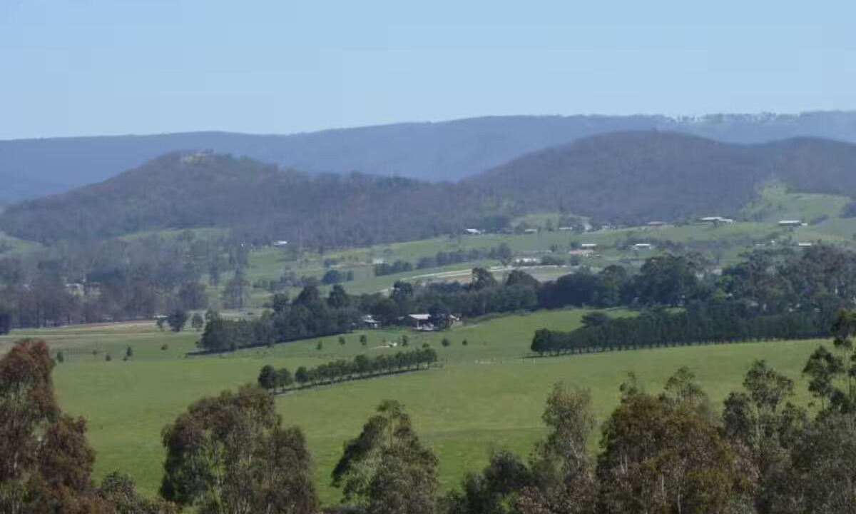 Photo of Others in Boronia
