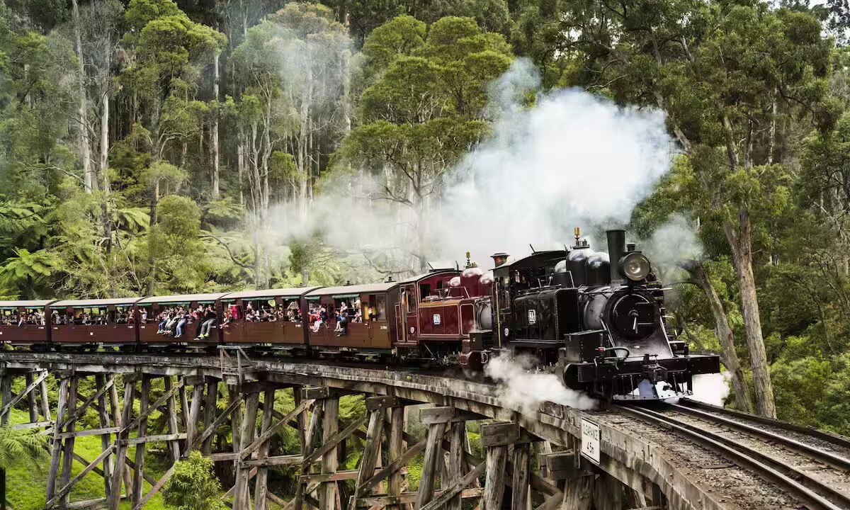 Photo of Others in Boronia