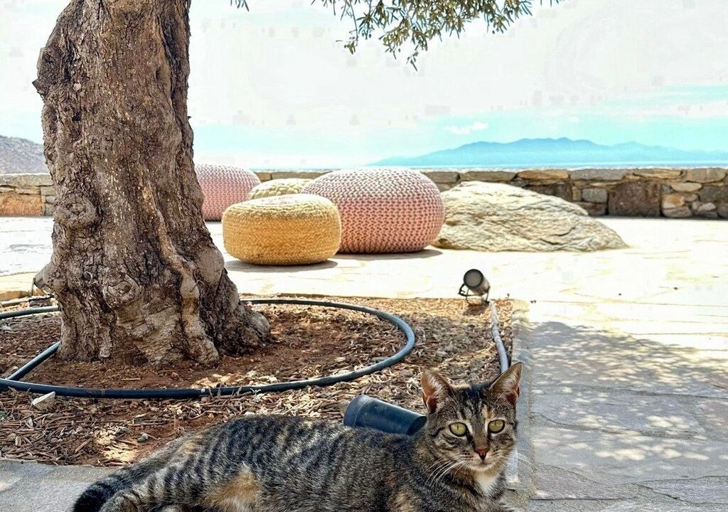 Photo of Outdoor in Elia