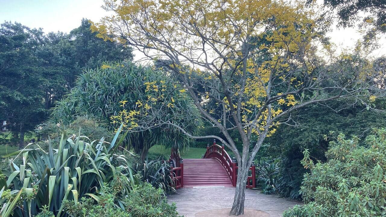 Photo of Outdoor in Wollongong