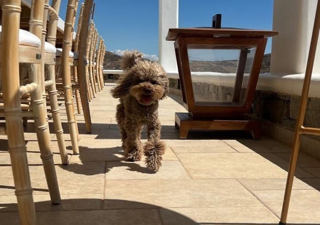 Photo of Patio Balcony in Elia