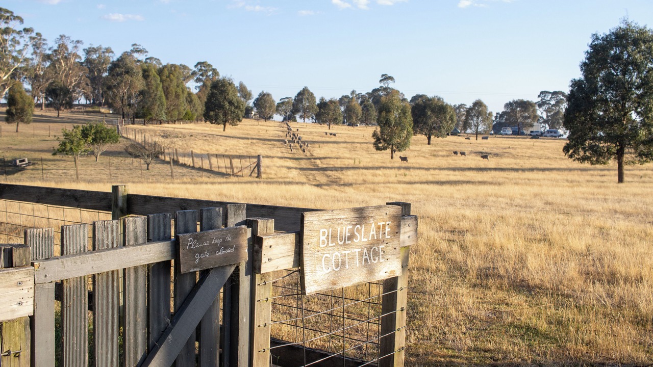 Photo of Outdoor in Curraweela