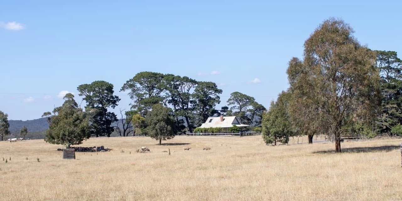 Photo of Others in Curraweela