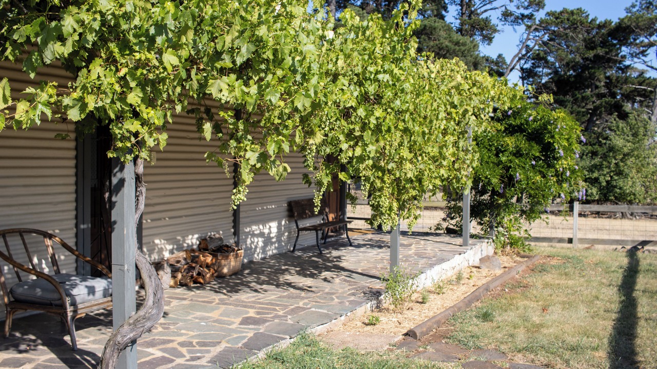 Photo of Patio Balcony in Curraweela