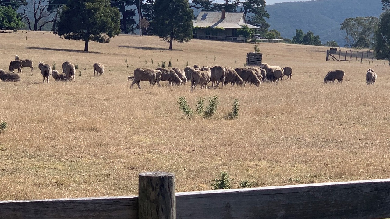 Photo of Others in Curraweela