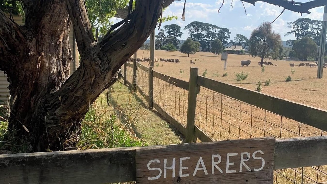 Photo of Outdoor in Curraweela