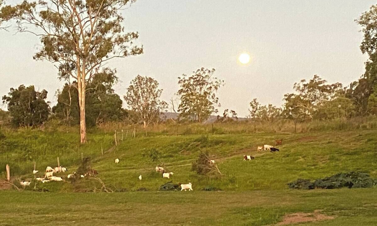Photo of Others in Postmans Ridge