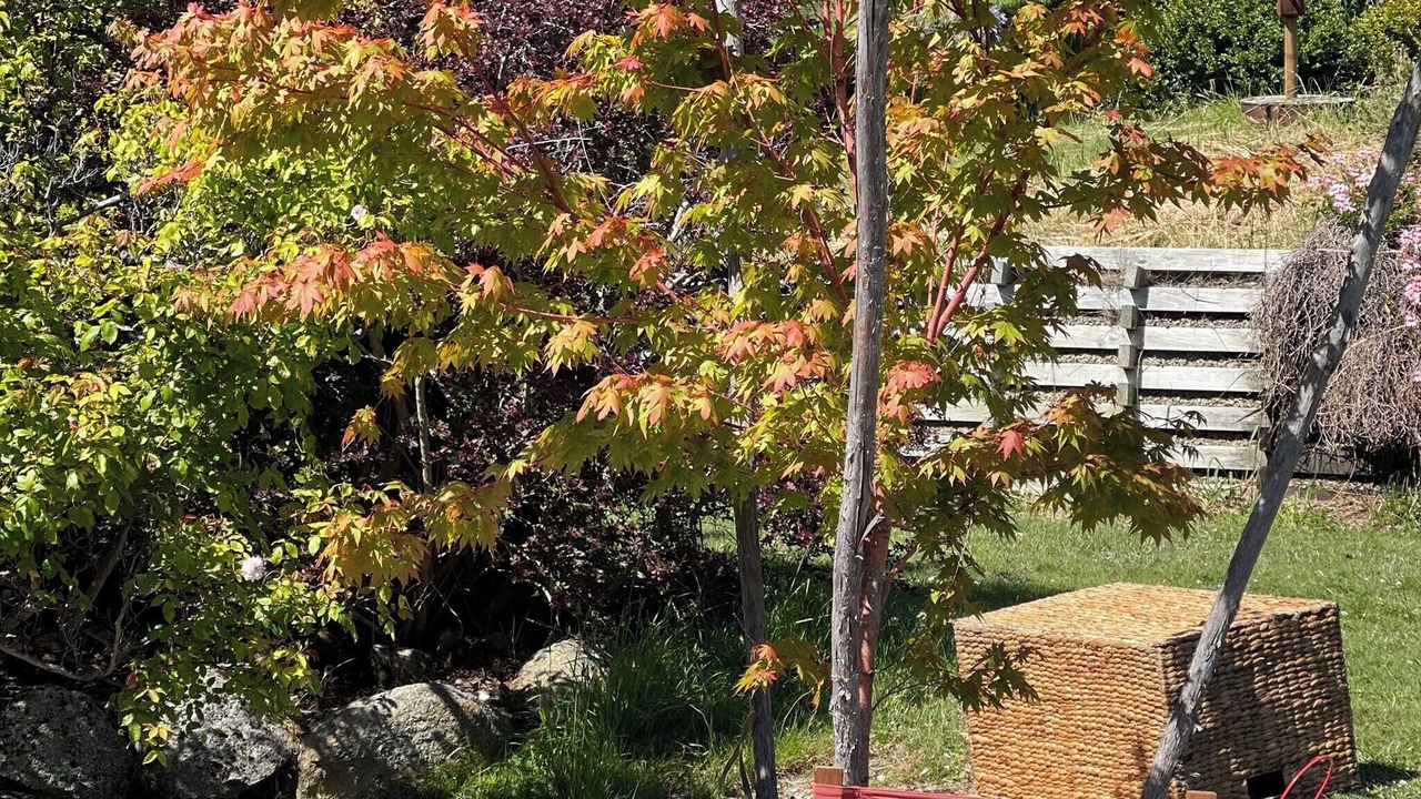 Photo of Outdoor in Cygnet