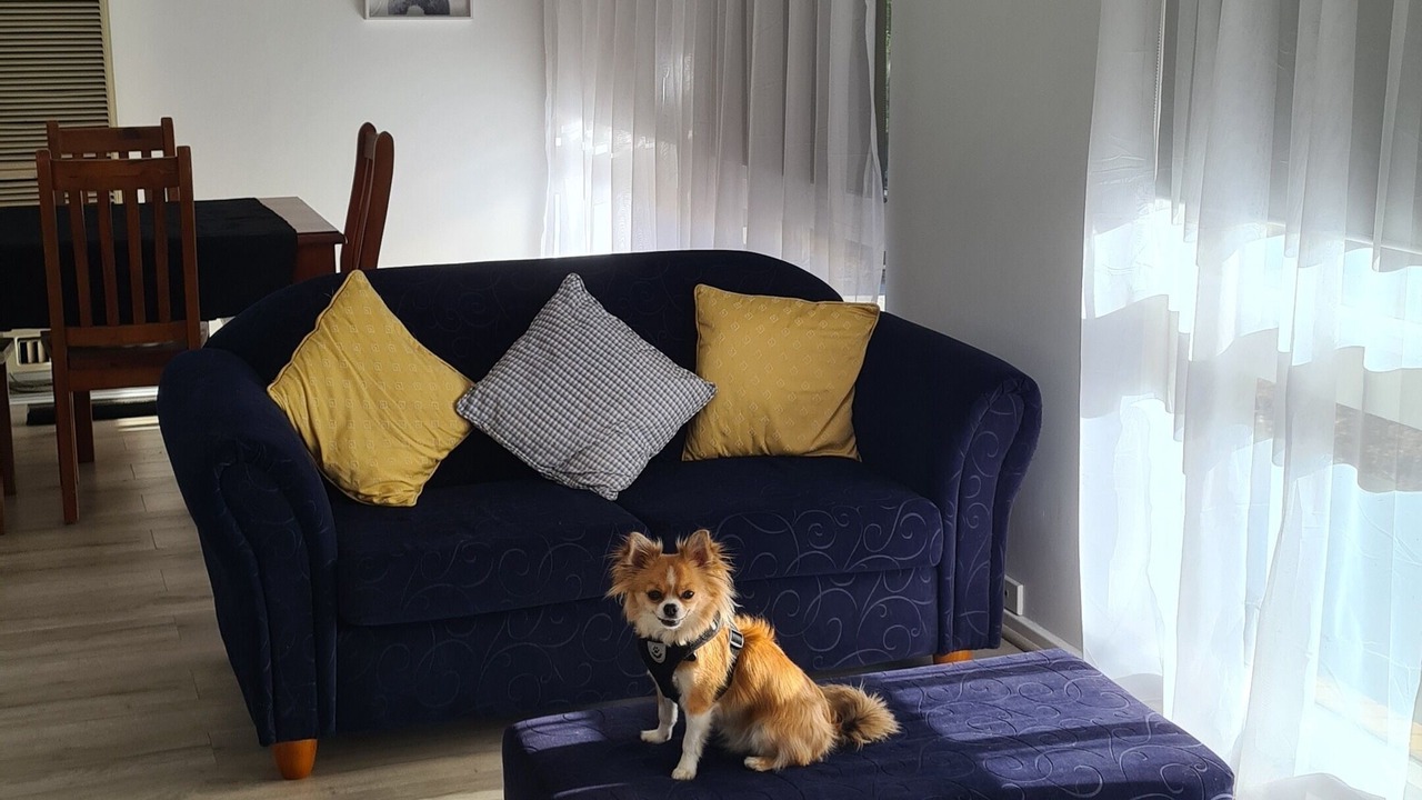 Photo of Livingroom in Redwood Park