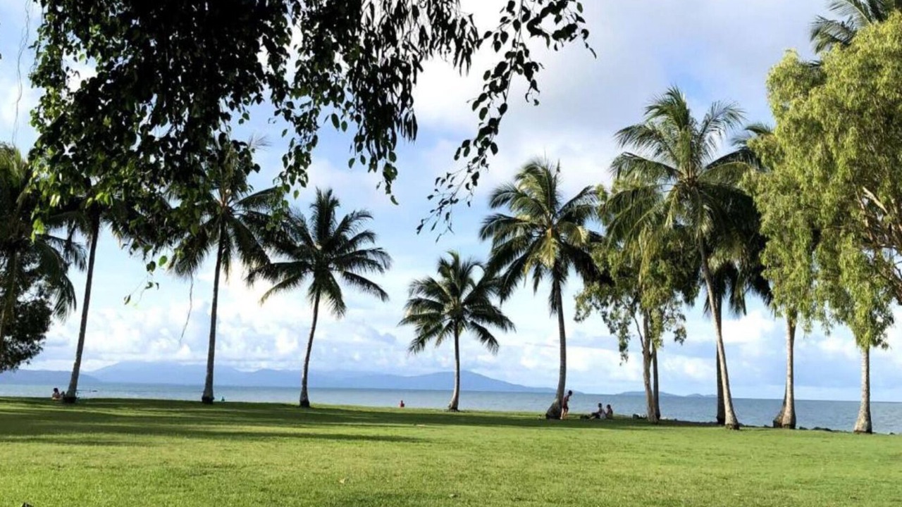 Photo of Others in Port Douglas
