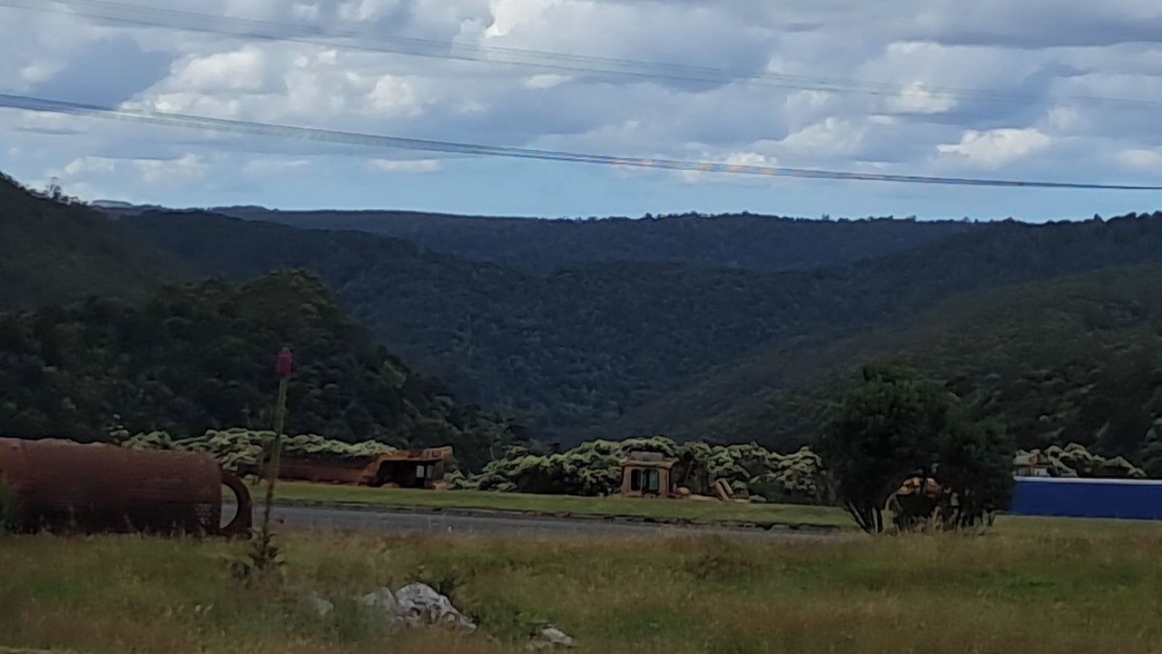 Photo of Others in Waratah