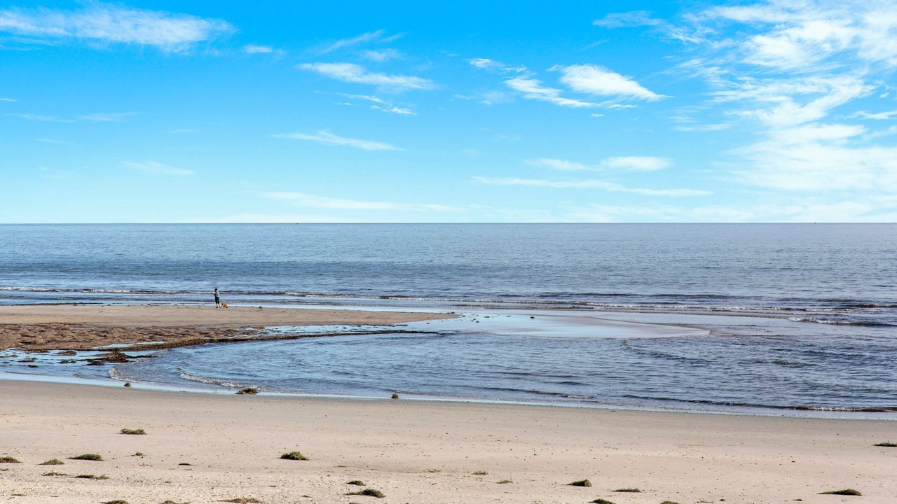 Photo of Others in West Beach