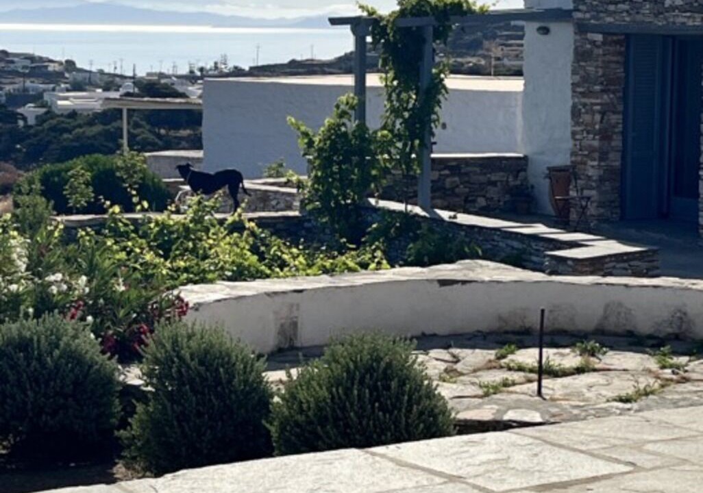 Photo of Outdoor in Apollonia