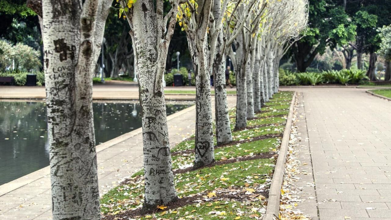 Photo of Outdoor in Darlinghurst