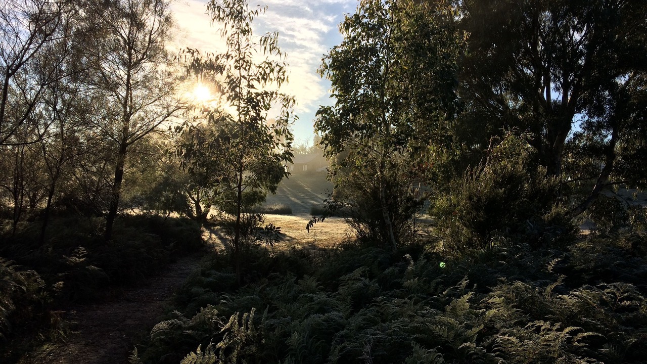 Photo of Outdoor in Halls Gap
