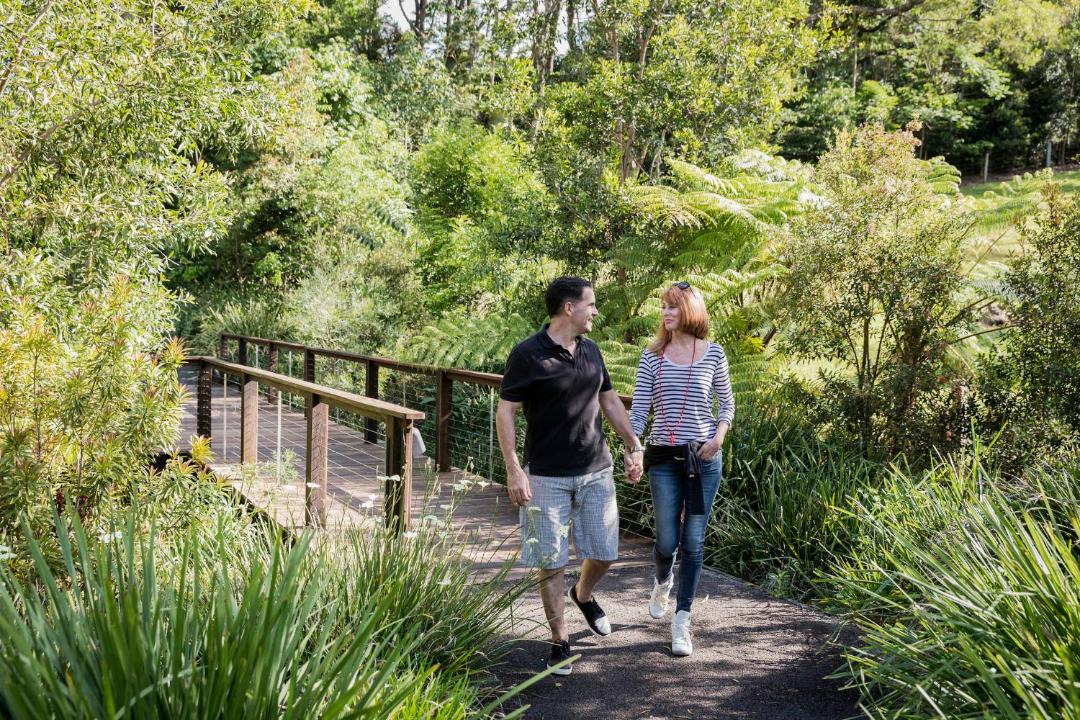 Photo of Others in Maleny