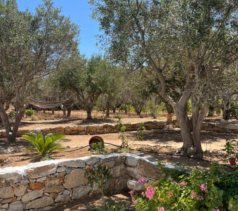 Photo of Others in Naxos