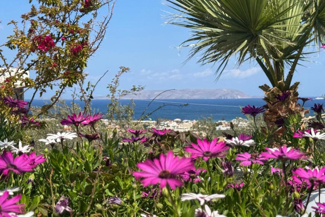 Photo of Others in Vathianos Kampos