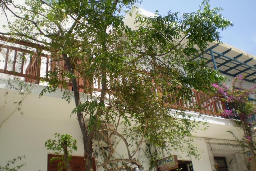 Photo of Others in Old Town Naxos