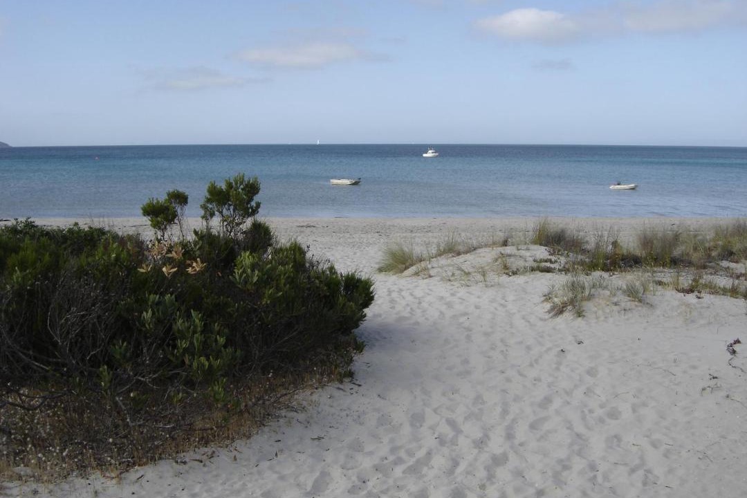 Photo of Others in Island Beach