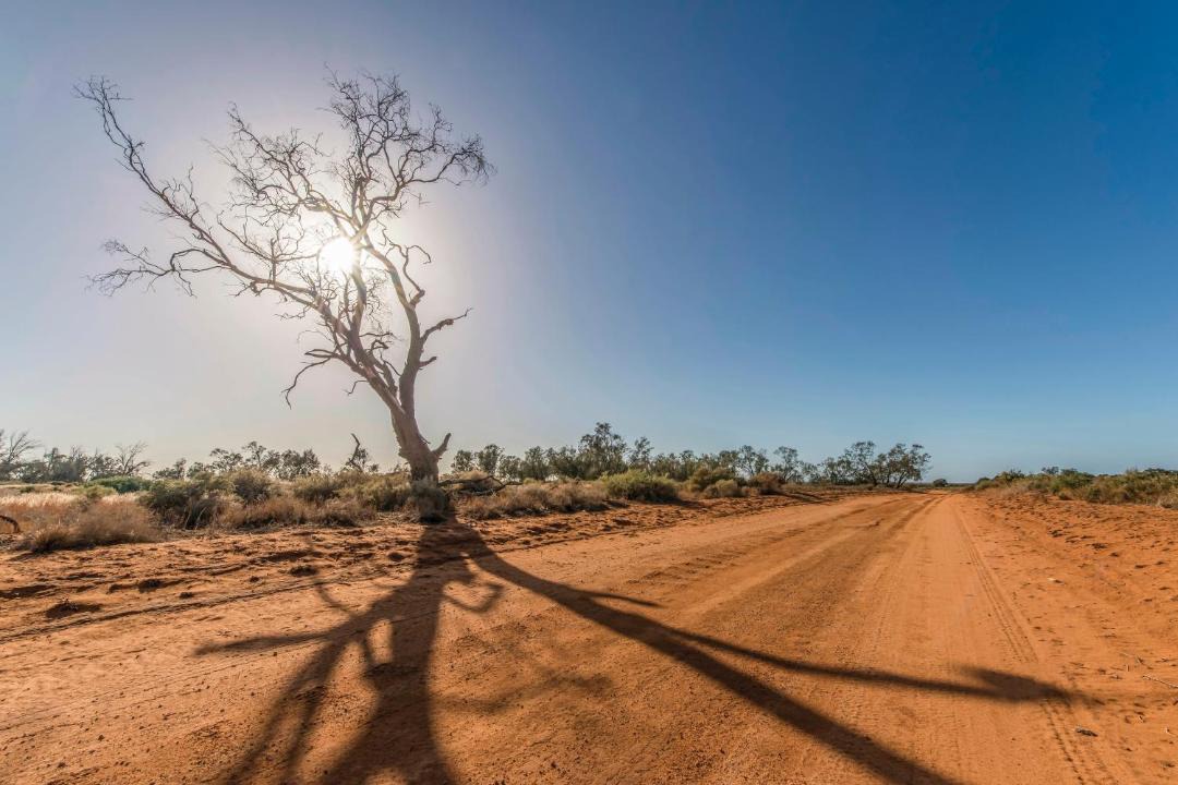 Photo of Human In Picture in Mungo