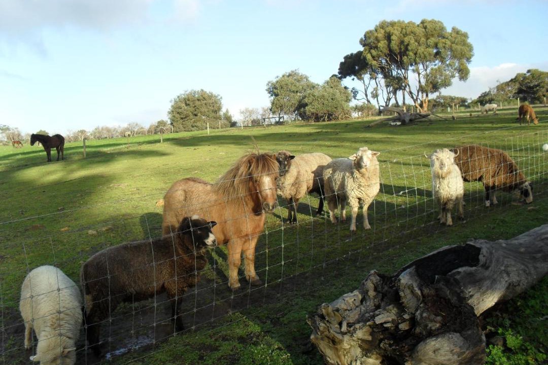 Photo of Others in Newland