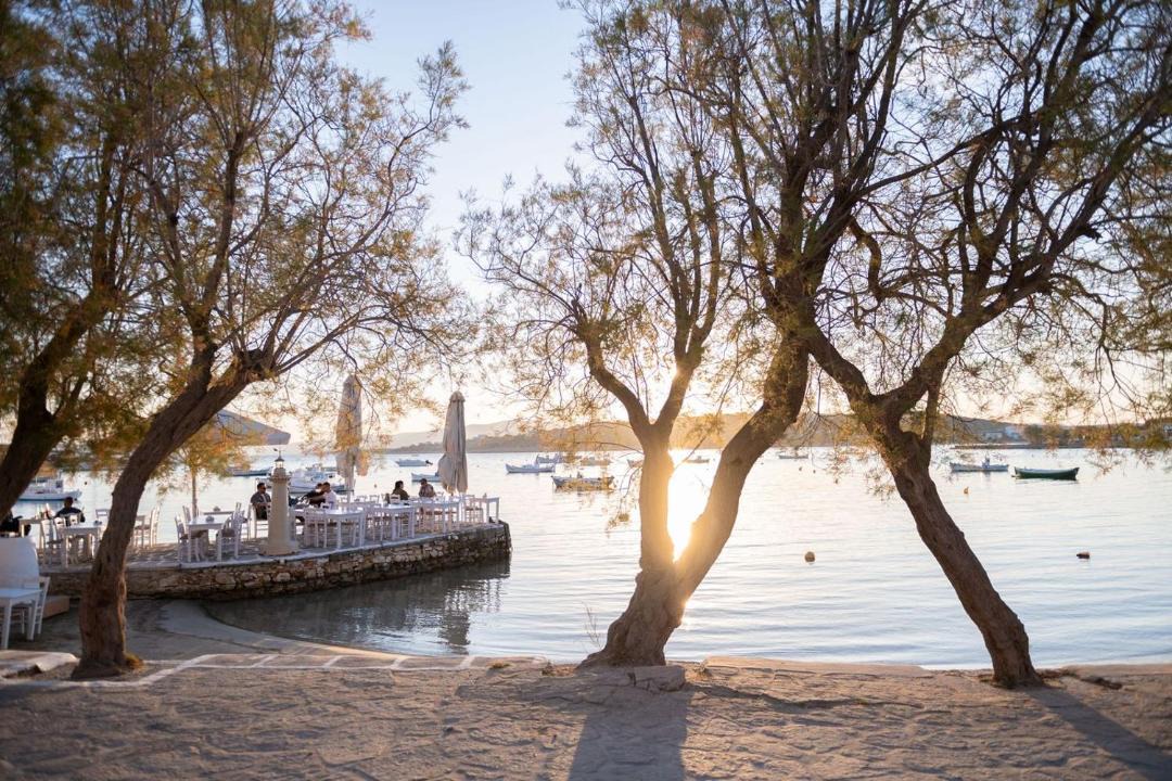 Photo of Others in Aliki