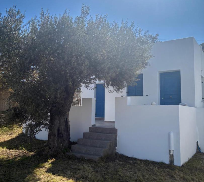 Photo of Others in Naxos