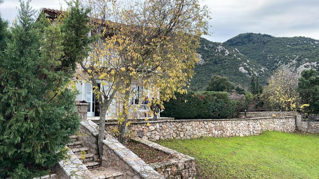 Photo of Others in Polidrosos