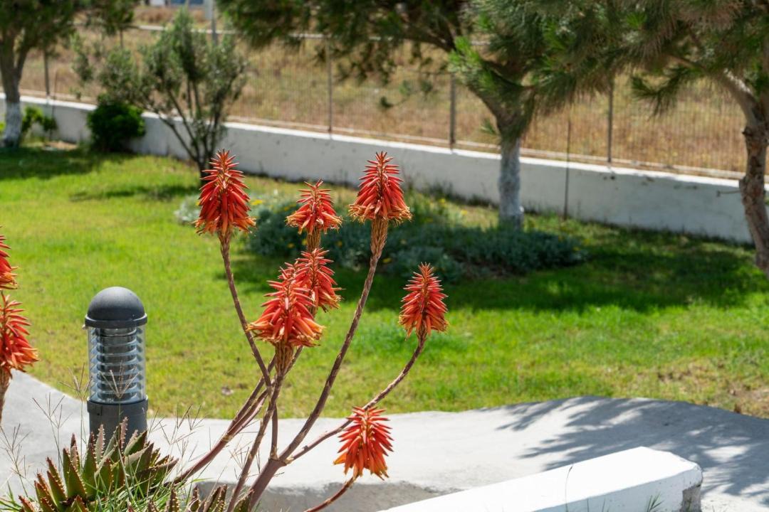 Photo of Others in Agios Georgios