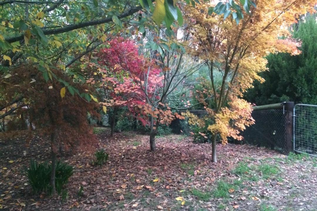 Photo of Outdoor in Emerald