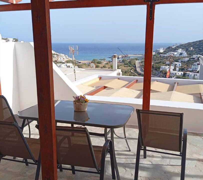 Photo of Others in Alopronia
