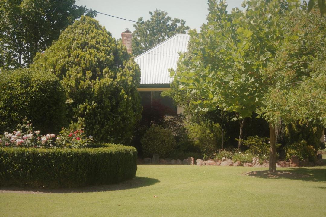 Photo of Others in Stanthorpe