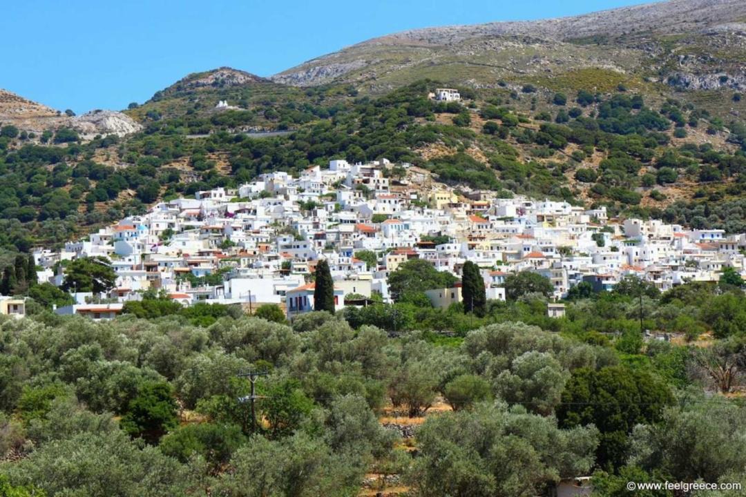 Photo of Buildings in Filoti