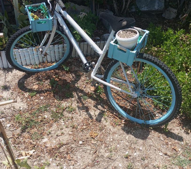 Photo of Others in Katarraktis