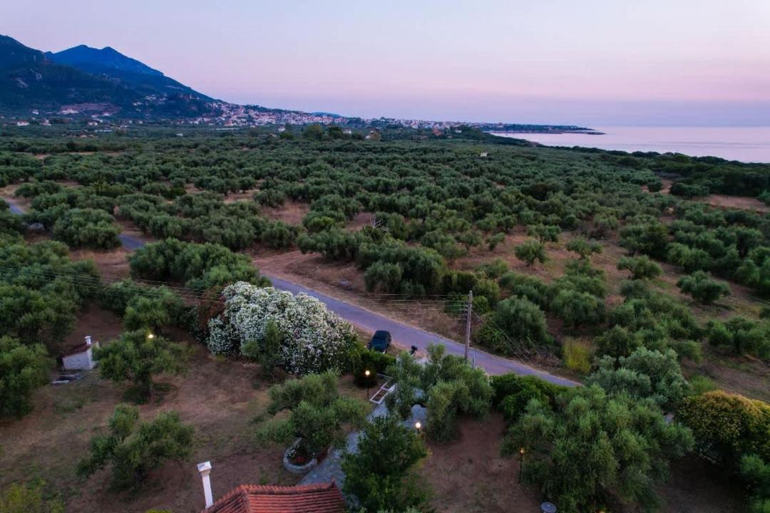 Photo of Others in Kiparissia
