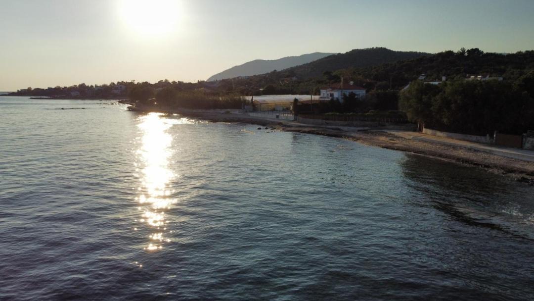 Photo of Others in Plomari