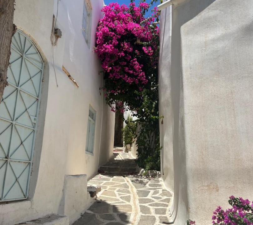 Photo of Others in Marpissa